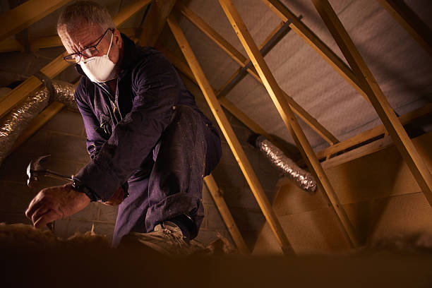 Best Insulation for Specific Applications in Country Clu, FL